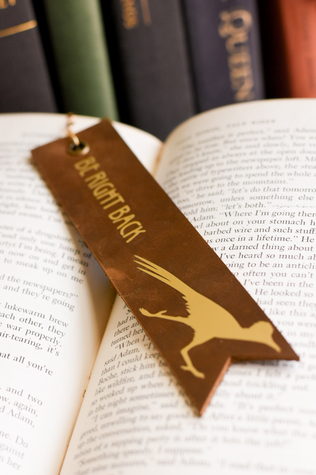 Roadrunner Bookmark