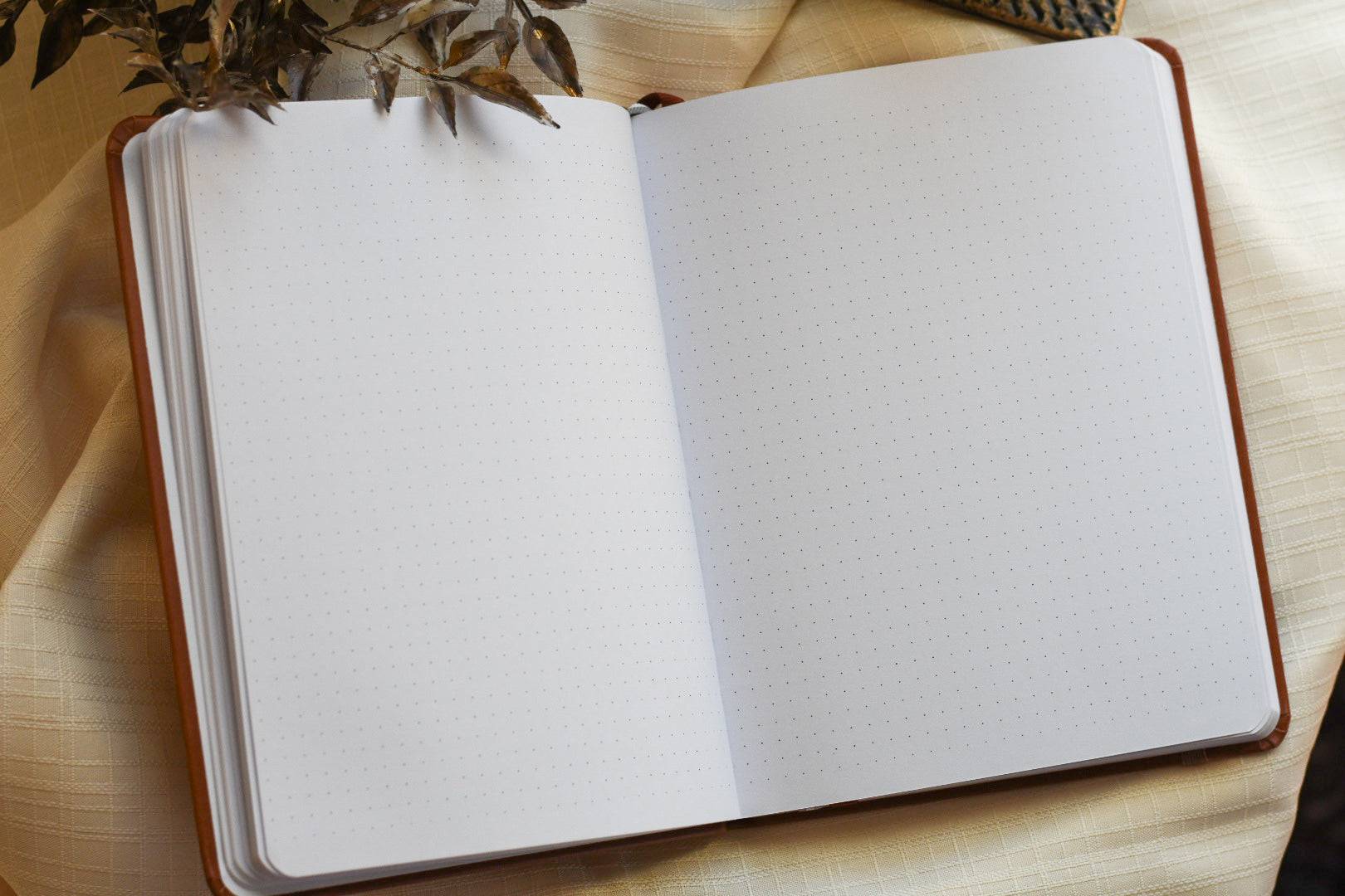 Ampersand Journal