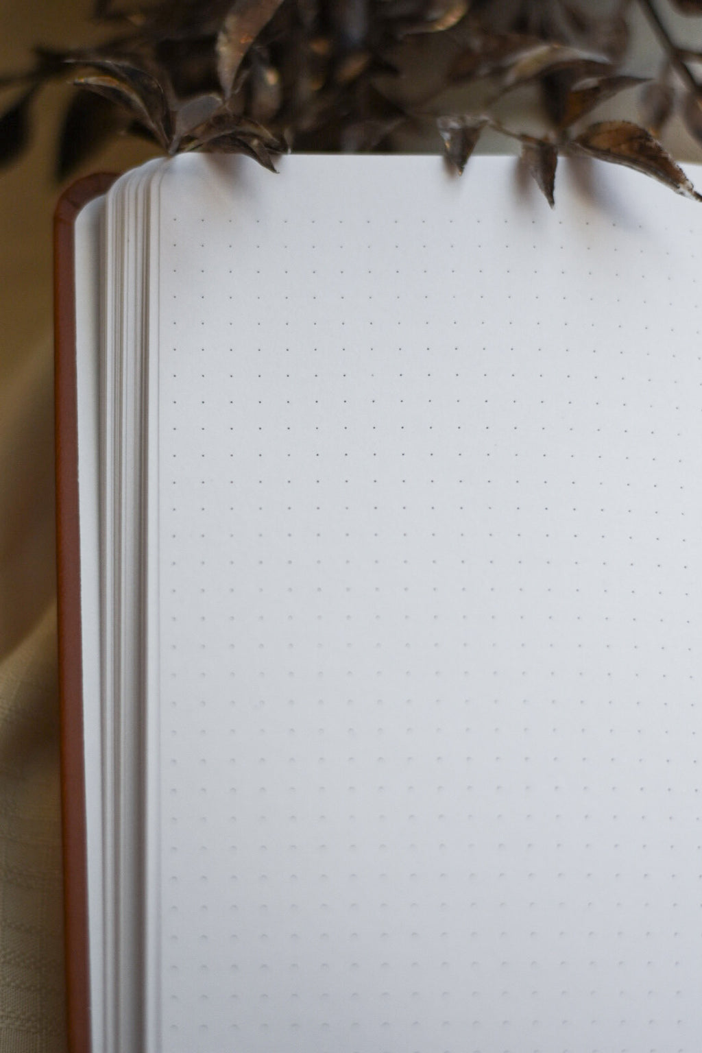 Begin Anywhere Journal